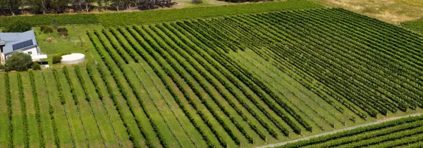 Agriculture