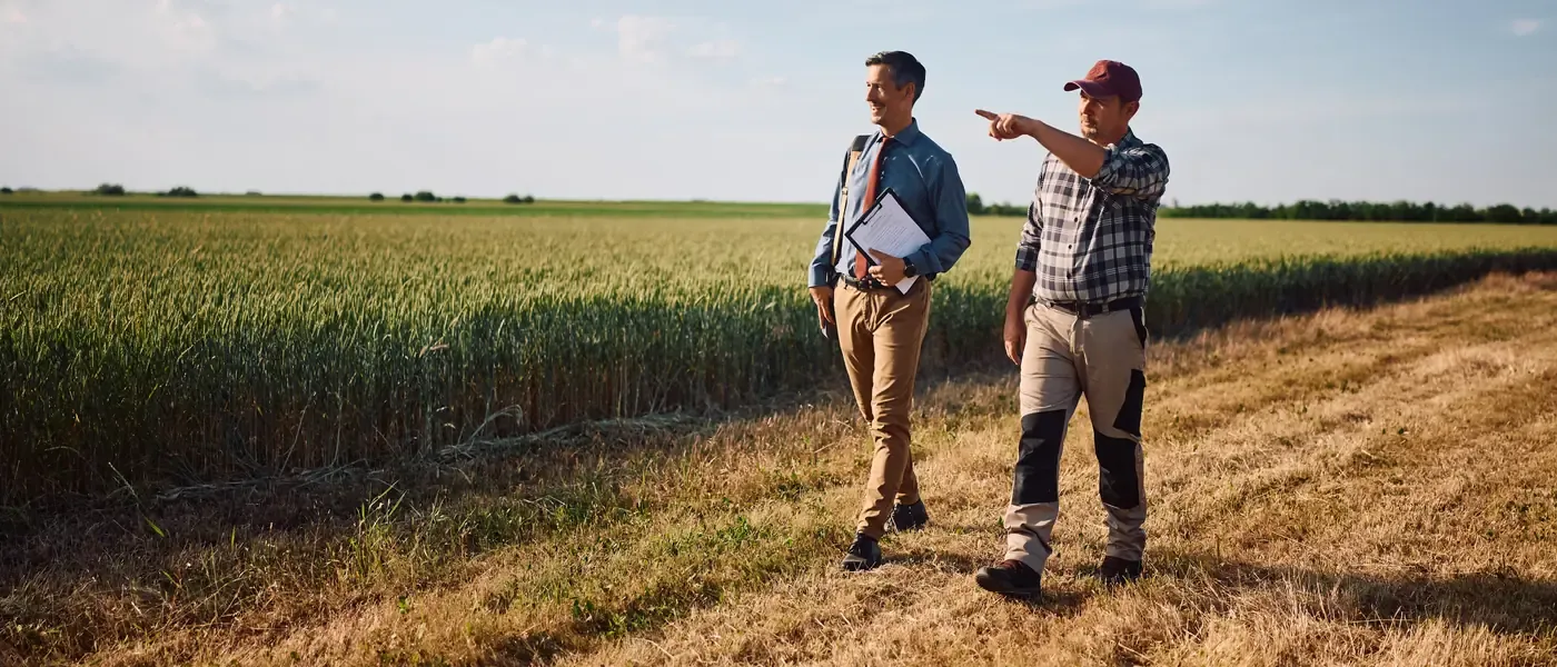 An agronomist and a grower walking a wheat crop, discussing an in-field assessment