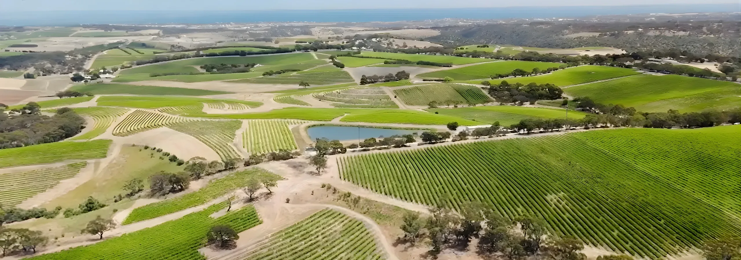 AgTech Growth Fund